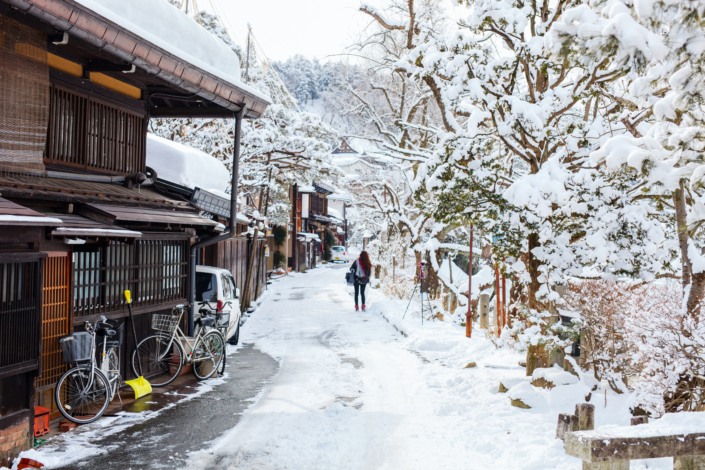 takayama, gifu (4).webp